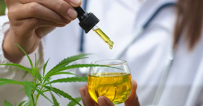 7 usos da Cannabis medicinal que vão além dos “casos graves” em 2025