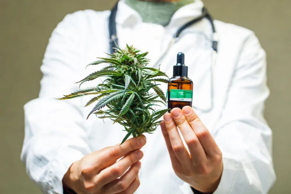 Cannabis infantil em 2025: quando a Justiça é o único caminho para tratar crianças